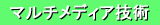 �}���`���f�B�A�Z�p