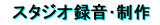 �X�^�W�I�Ƙ^�������
